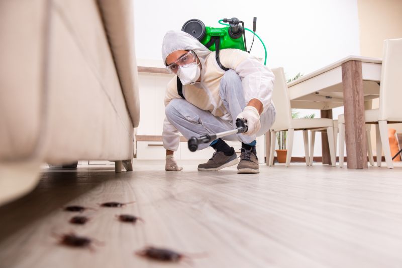 Home Improvement and Pest Removal Contractors