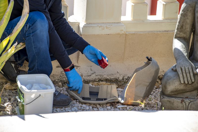 Armadillo Trapping Service